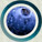 bleuet